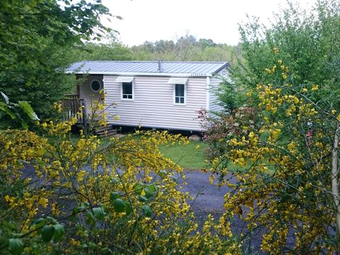 MOBILHOME 4 personnes - Familial Classic Ohara 784 2 Ch