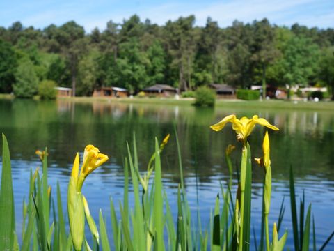 MOBILHOME 4 personnes - Mobil home Essentiel  vue sur l'étang 2ch