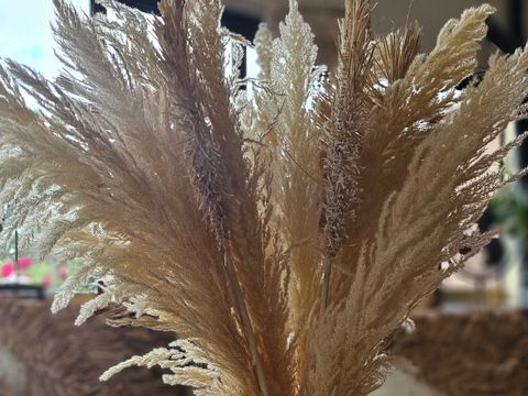 CHALET 4 personnes - Chalet premium 2 chambres 2 salles de bains face a l'etang 1/4 pers