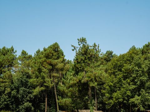 CHALET 4 personnes - Chalet devant l'étang 1/4 pers. 1/4 pers