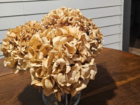 CHALET 5 personnes - Chalet 1/5pers vue étang. 1/5 pers