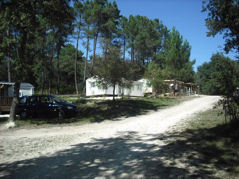 Mobilhome 4 personnes - Mobil home Essentiel 2ch 1/4 pers