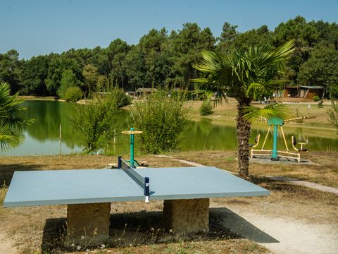 Gaia Ecolodge - Camping Dordogne - Image N°66