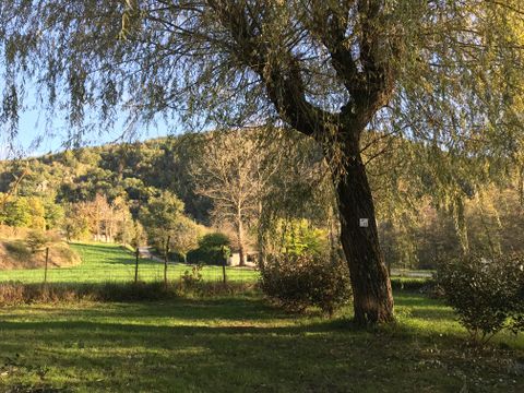 Camping Les Berges du Doux - Camping Ardeche - Image N°19