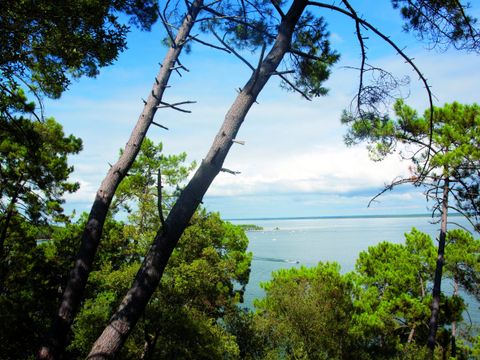 Camping Le Capdeville - Camping Gironde - Image N°8