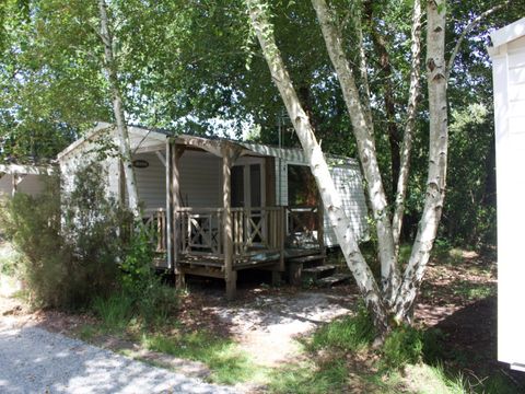 Camping Le Capdeville - Camping Gironde - Image N°7