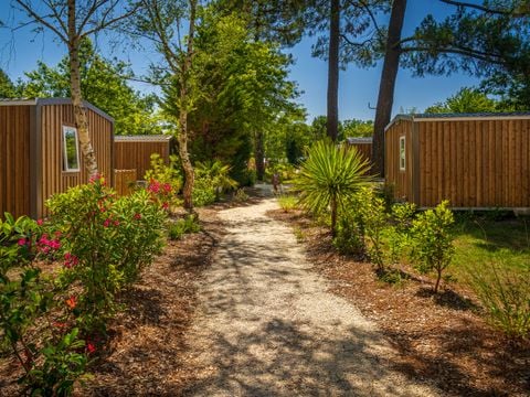 MOBILHOME 6 personnes - Mobil Home 3 ch 6 pl Terrasse semi-couverte sans Clim TV