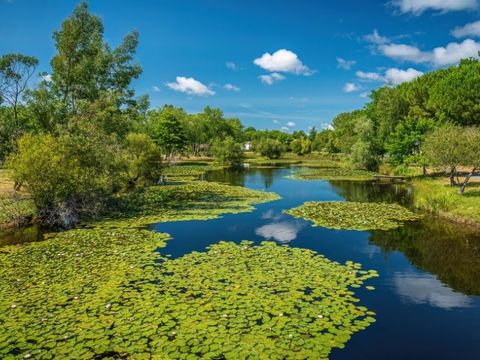 Camping L'Orée Du Bois - Camping Gironde - Image N°50