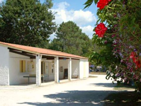 Camping Le Littoral - Camping Gironde - Image N°5