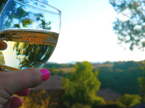 Camping Sites et Paysages - l'Oasis Camping Sites et Paysages - l'Oasis - Camping Ardèche - Image N°75