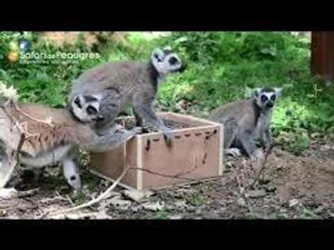 Camping Sites et Paysages - l'Oasis Camping Sites et Paysages - l'Oasis - Camping Ardèche - Image N°64