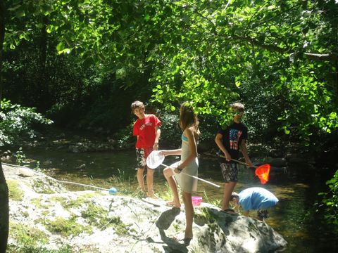 Camping Sites et Paysages - l'Oasis Camping Sites et Paysages - l'Oasis - Camping Ardèche - Image N°30