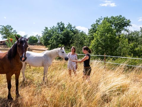Camping Sites et Paysages - l'Oasis Camping Sites et Paysages - l'Oasis - Camping Ardèche - Image N°14