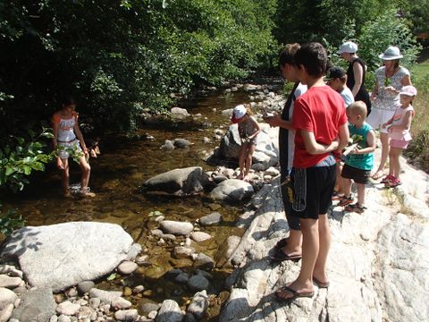 Camping Sites et Paysages - l'Oasis - Camping Ardeche - Image N°70