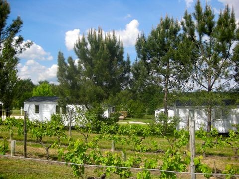 MOBILHOME 4 personnes - Mobilhome 4 personnes