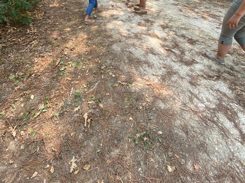 Camping La Motte - Camping Charente-Maritime - Image N°59