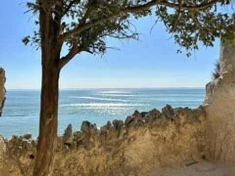 Camping La Motte - Camping Charente-Maritime - Image N°117