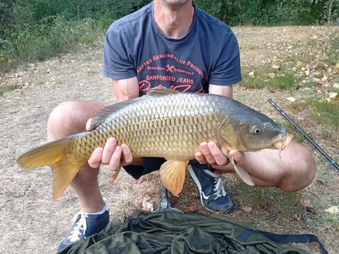 Camping La Motte - Camping Charente-Maritime - Image N°66