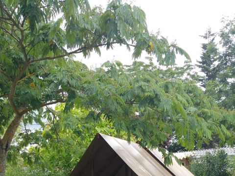 TENTE TOILE ET BOIS 2 personnes - Cabane Toilée Bois Cyclo 1 chambre ( sans sanitaires) 2 pers