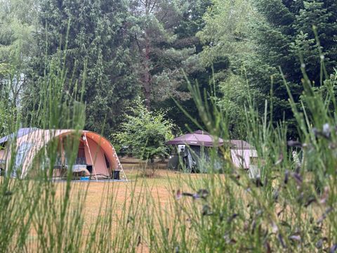 Camping Domaine de Lallé - Camping Corrèze - Image N°29