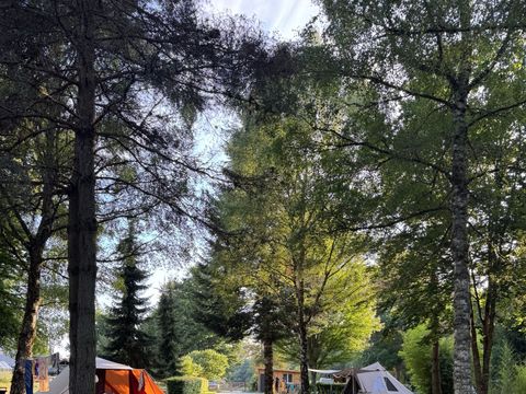 Camping Domaine de Lallé - Camping Corrèze - Image N°32