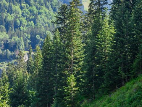 Camping Alpes Lodges Le Parc Isertan - Camping Savoie - Image N°6