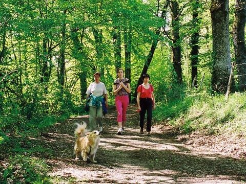 Camping du Lac de Bournazel - Camping Corrèze