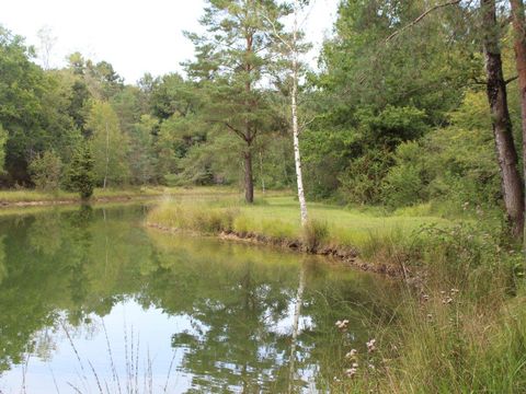 Camping L'Etang Bleu - Camping Dordogne - Image N°18