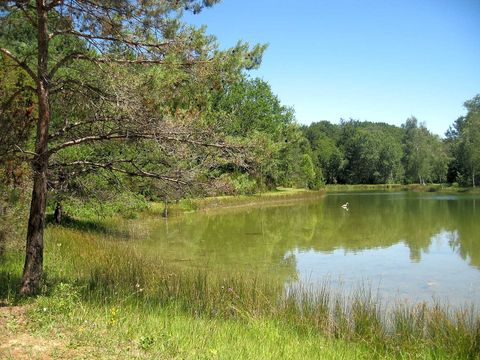 Camping L'Etang Bleu - Camping Dordogne - Image N°14