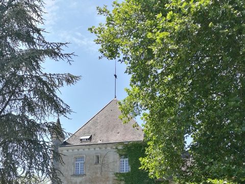 Camping Château Le Verdoyer - Camping Dordogne - Image N°23