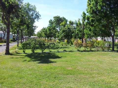 Camping Le Soleil Levant - Ribes - Camping Charente-Maritime - Image N°21