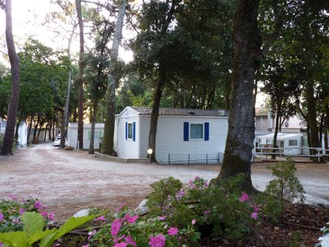 Camping Les Chênes Verts - Camping Charente-Maritime - Image N°10