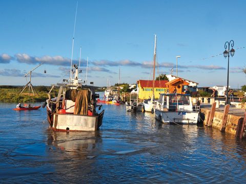 Camping le Dauphin - Camping Charente-Maritime - Image N°36