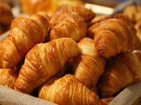 Camping le Dauphin - Camping Charente-Maritime - Image N°11