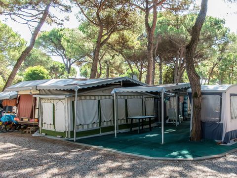 Emplacement - Dog