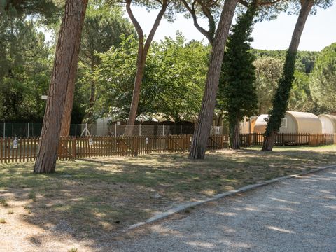 Emplacement - Dog