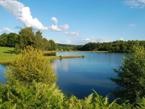 Flower Camping l'Air du Lac - Camping Haute-Vienne - Image N°20