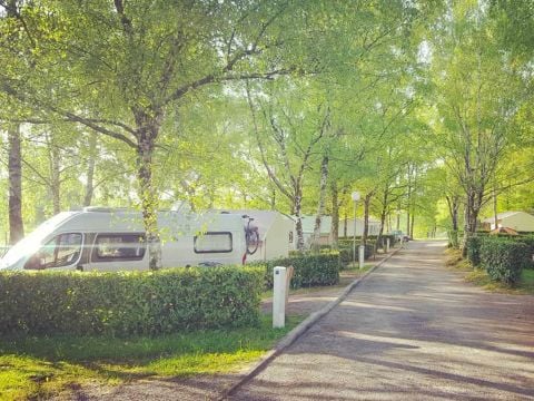 Flower Camping l'Air du Lac - Camping Haute-Vienne - Image N°11