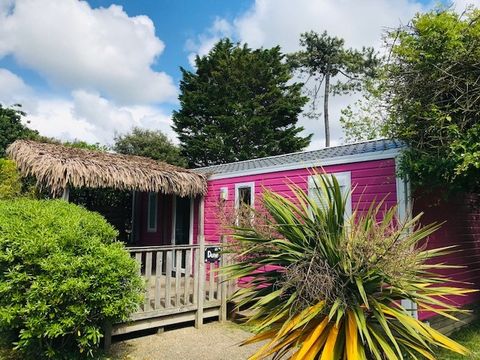 MOBILHOME 8 personnes - Baltique - 32m² - 3 chambres - Climatisé