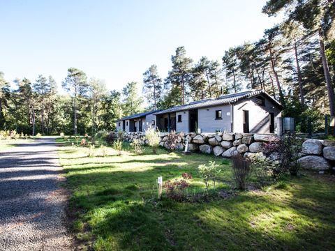 Camping Paradis Lac d'Aydat - Camping Puy-de-Dome - Image N°25
