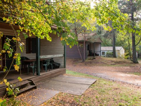 Camping du Lac d'Aydat - Camping Puy-de-Dôme - Image N°17