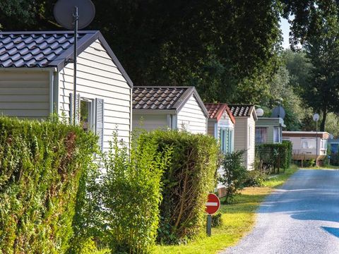 Camping Au Joyeux Faune - Camping Charente-Maritime - Image N°7