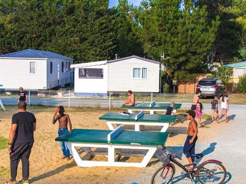 Camping Au Joyeux Faune - Camping Charente-Maritime - Image N°16