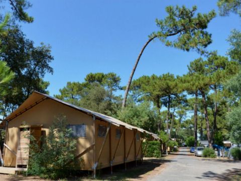 TENTE TOILE ET BOIS 6 personnes - Lodge PREMIUM BAHAMAS 6 personnes