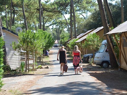 Camping Les Pins d'Oléron  - Camping Charente-Maritime - Image N°21