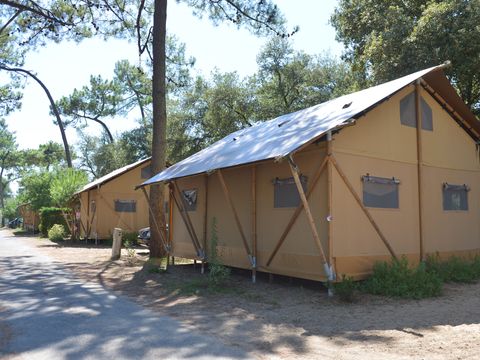 Camping Les Pins d'Oléron  - Camping Charente-Maritime - Image N°5