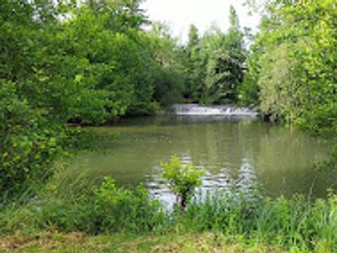 Camping Municipal Le Champion - Camping Charente - Image N°3