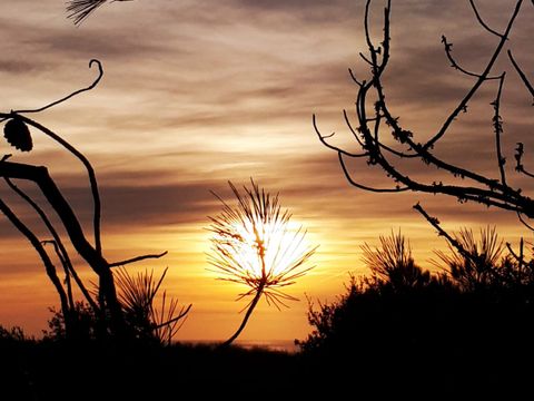 Camping Au Pigeonnier - Camping Charente-Maritime - Image N°26