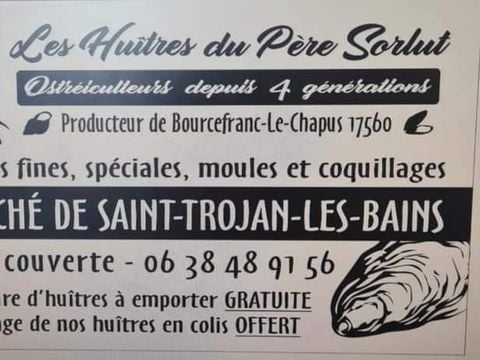 Camping Au Pigeonnier - Camping Charente-Maritime - Image N°78