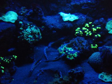 Camping Au Pigeonnier - Camping Charente-Maritime - Image N°69